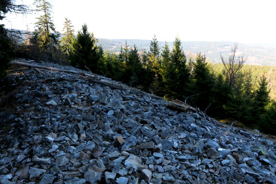 Altkönig 2020-03-25 69