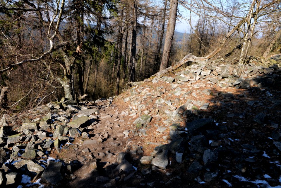 Altkönig 2020-03-25 58