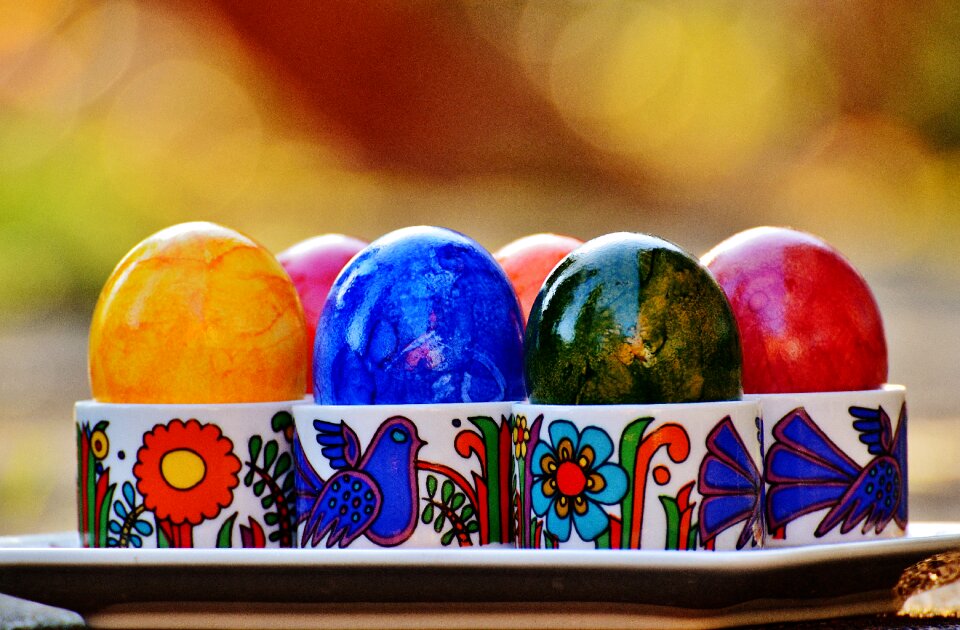 Happy easter egg colored