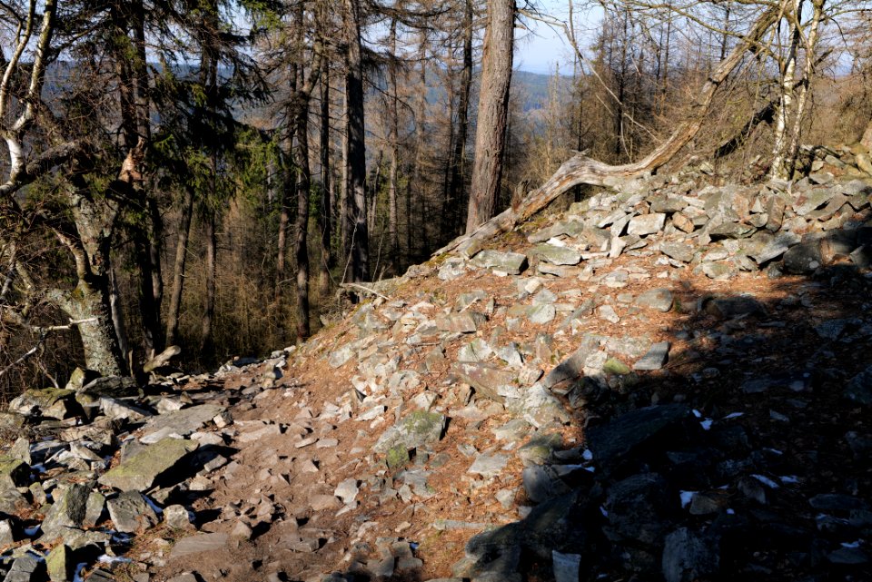 Altkönig 2020-03-25 59