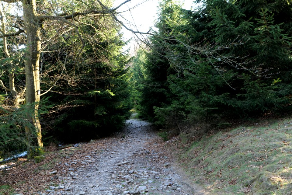 Altkönig 2020-03-25 75