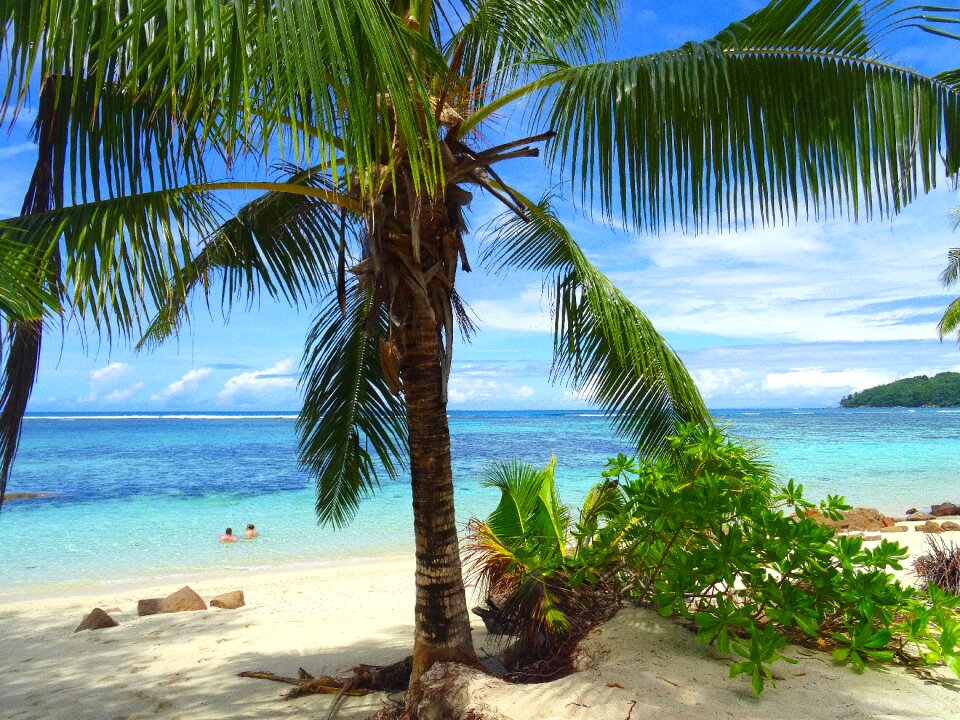 Seaside nature landscape