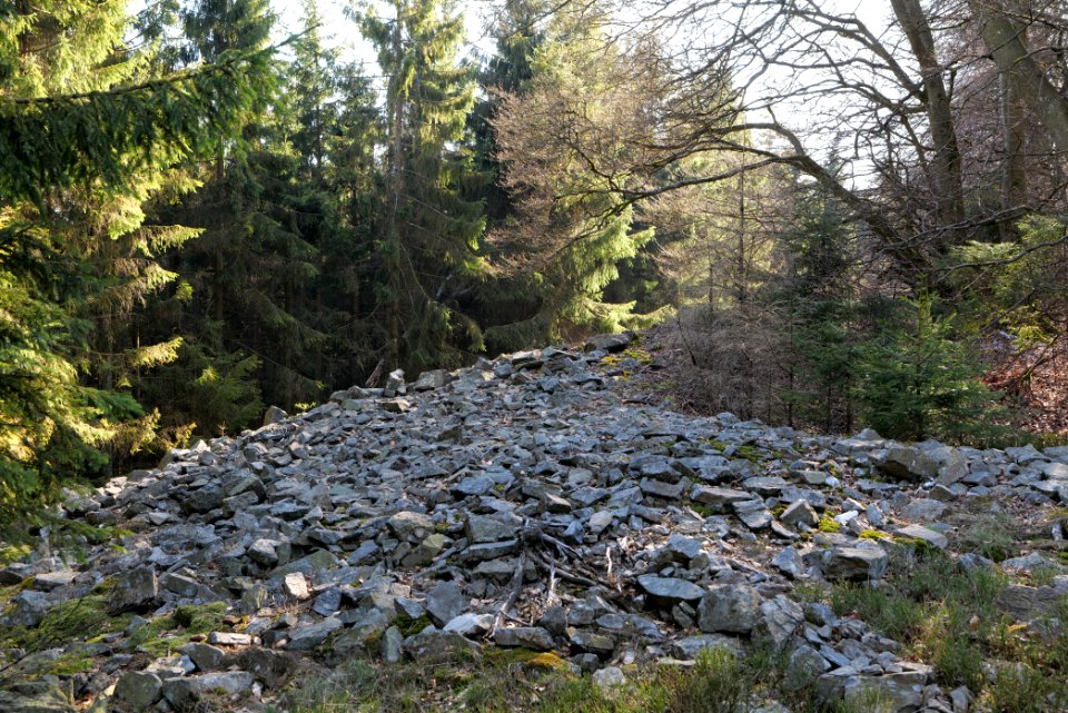 Altkönig 2020-03-25 78