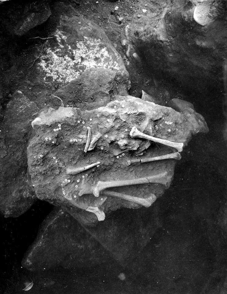 Amathus. Grav 21, pärlor in situ. Agios Tychos - SMVK - C02293