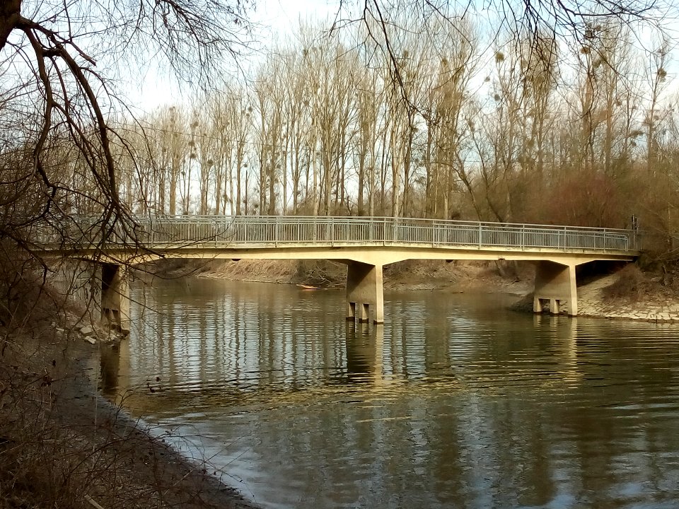 Altrhein Insel Rott, Brücke