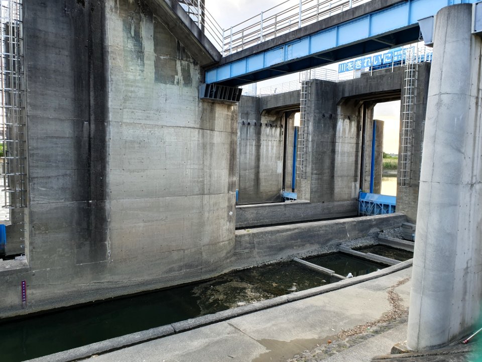 Along Tamagawa river near Tamagawa station 6