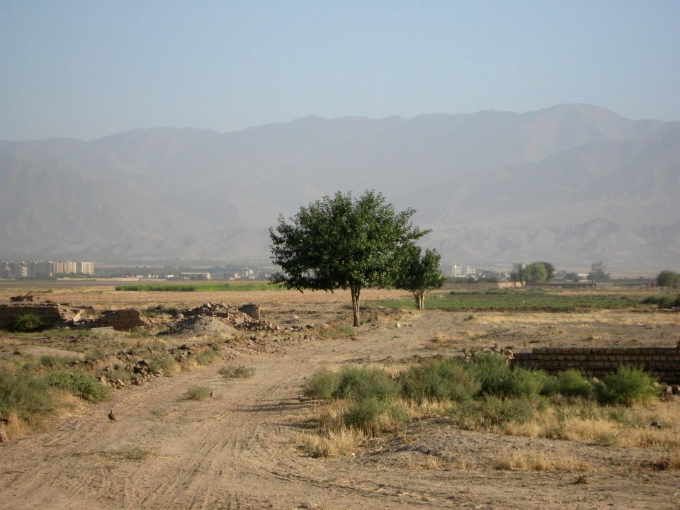 Alone tree - uburb of Nishapur - north - view of Yaghma Town 1