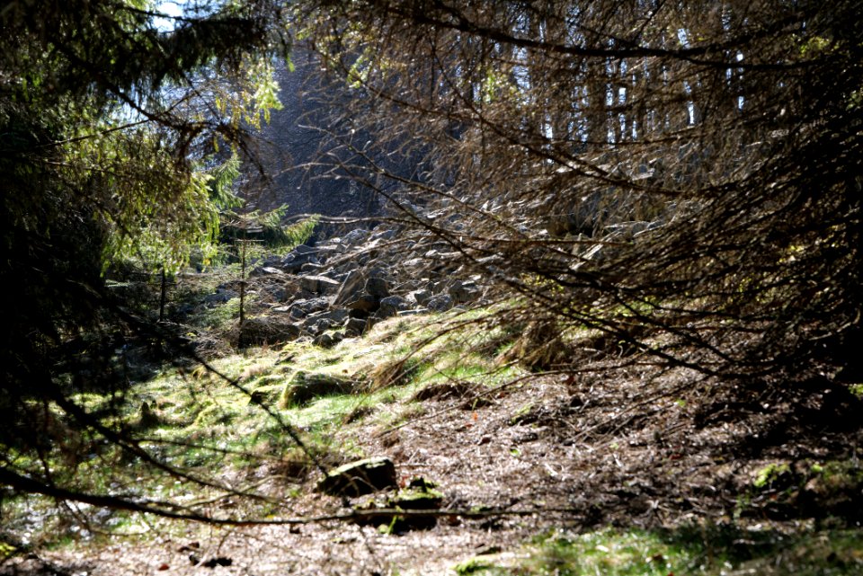 Altkönig 2020-03-25 79