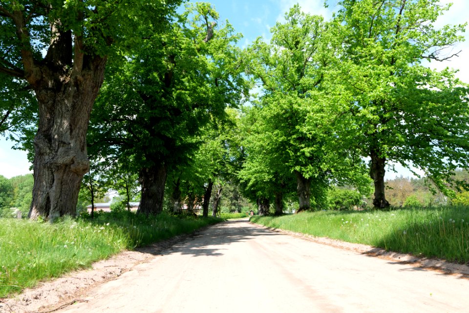 Alt-Placht 2021-05-29 05