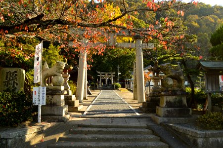 Amawaketoyohime-jinja, torii