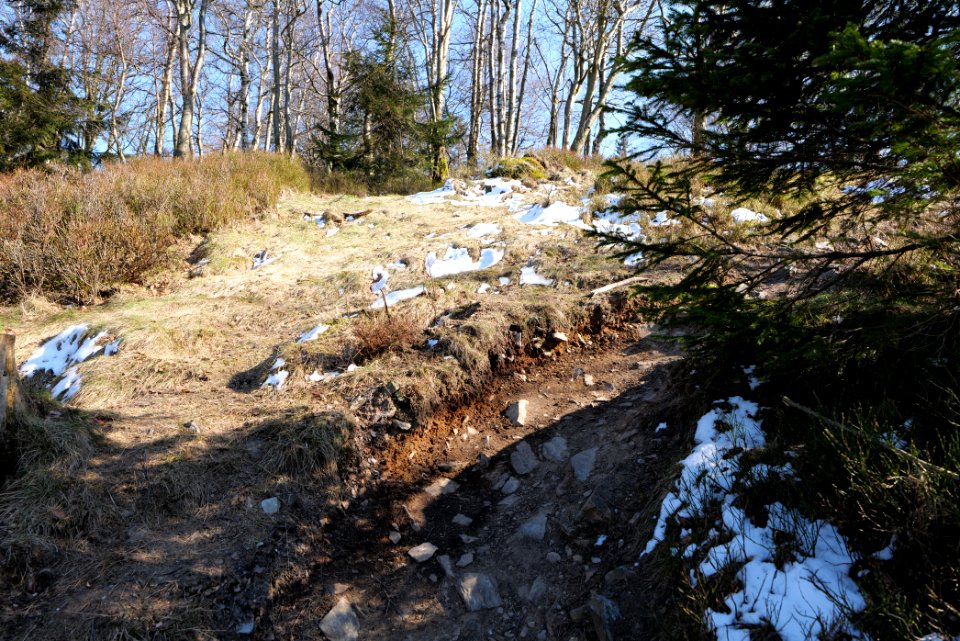 Altkönig 2020-03-25 60