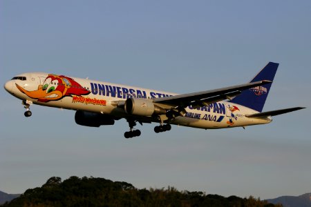 AllNipponAirways B767-300 fukuoka 20050213170602