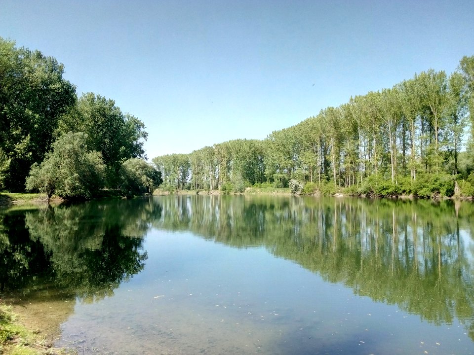 Altrhein Insel Rott, Linkenheim-Hochstetten