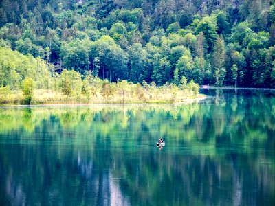 Almsee und Umgebung 17