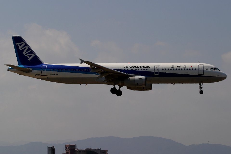 AllNipponAirways A321 fukuoka 20060330114136