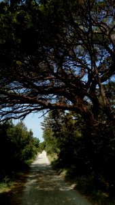 Alpe Adria trail - Tratto Rilke