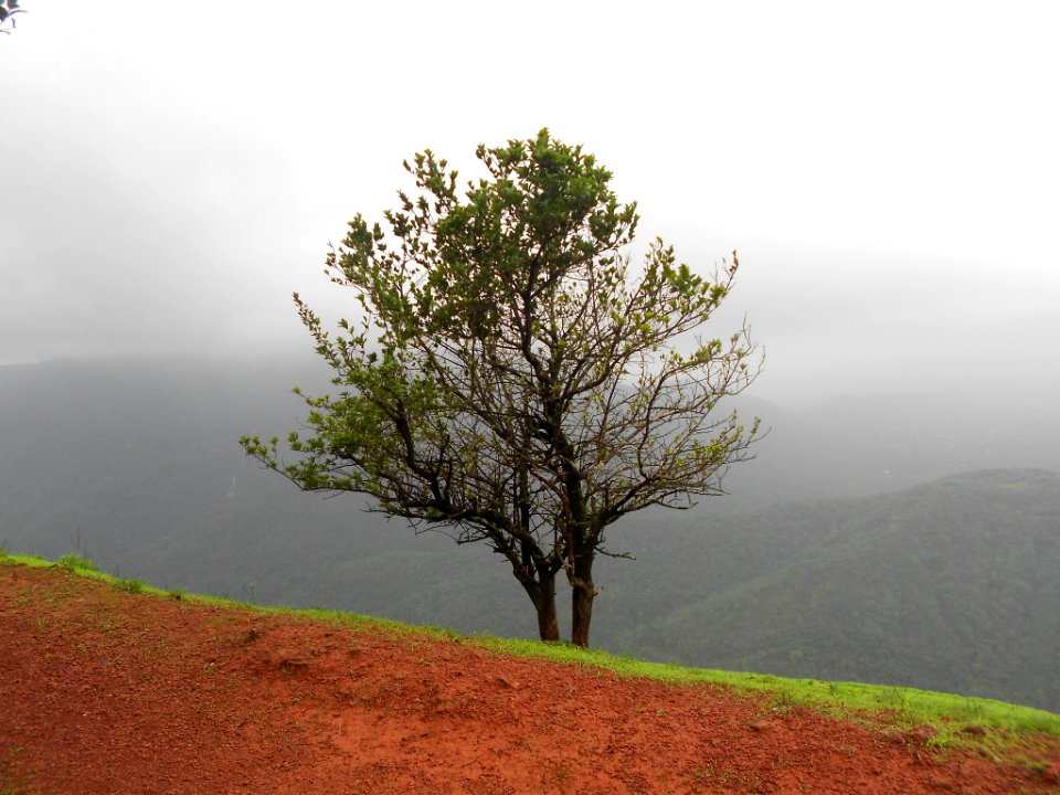 Alone (165185469)