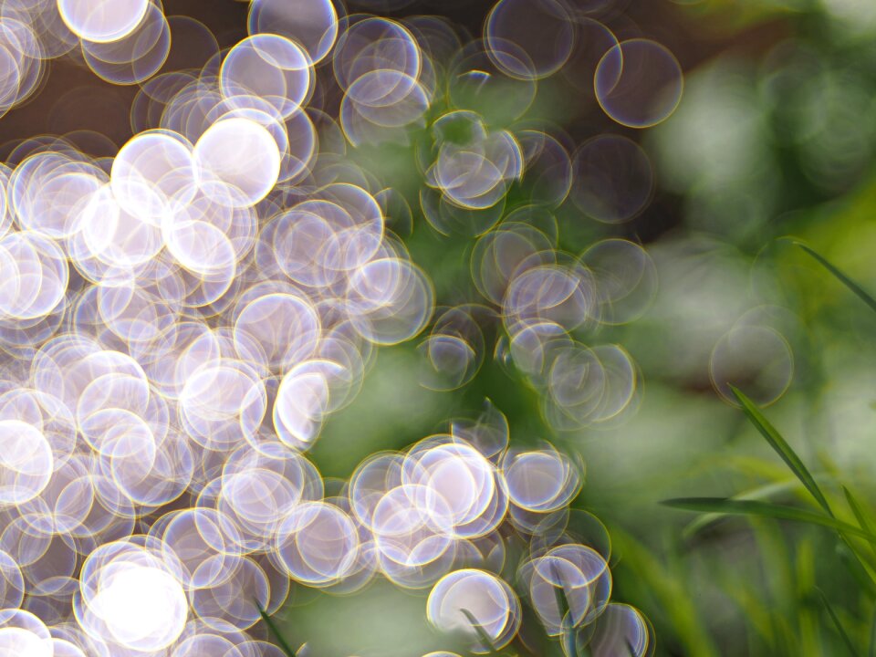 Reflection light bach
