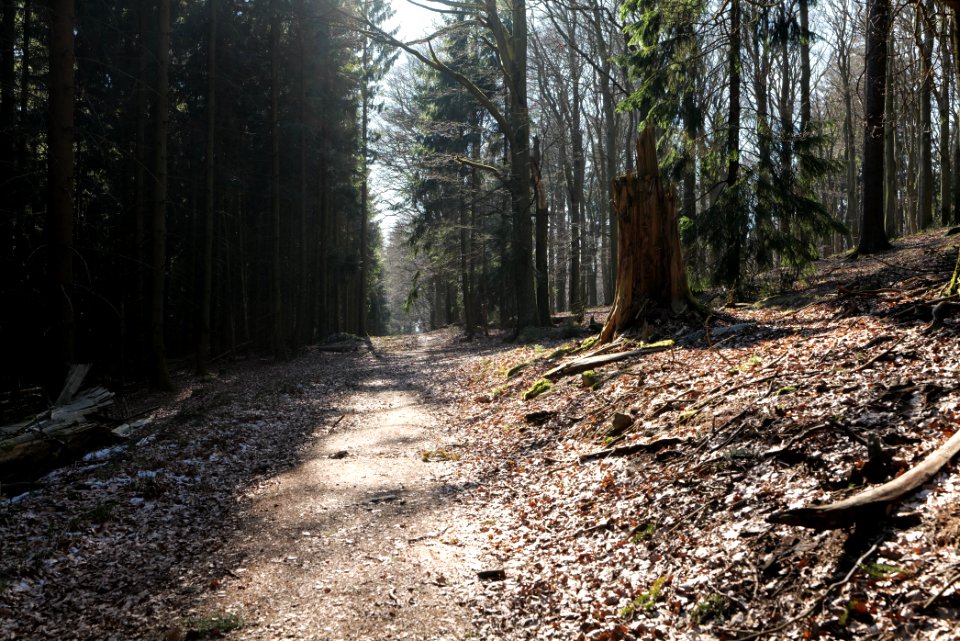 Altkönig 2020-03-25 81