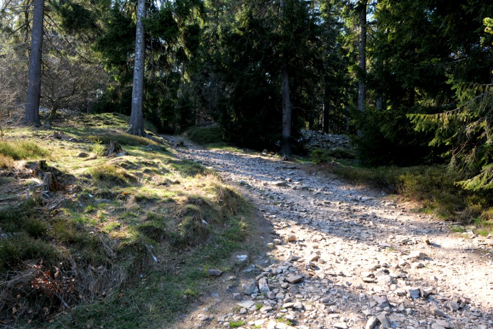 Altkönig 2020-03-25 76