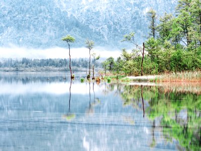 Almsee und Umgebung 13