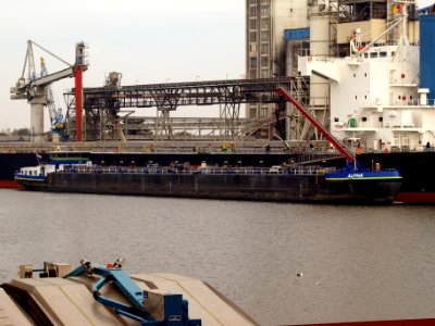 Alpha ENI 02328422