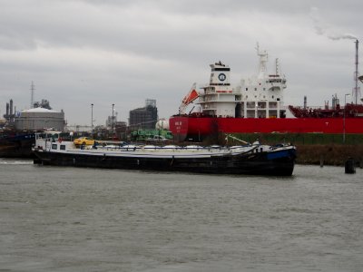 Alpha (ship, 1908) ENI 06504083 Port of Antwerp