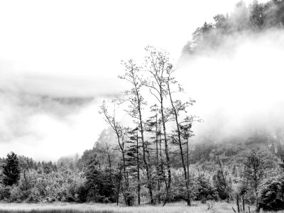 Almsee und Umgebung 11