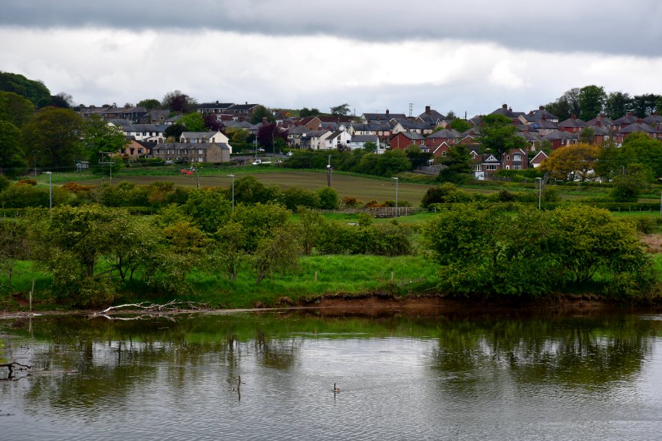 Alnmouth (2021-05-25) 01