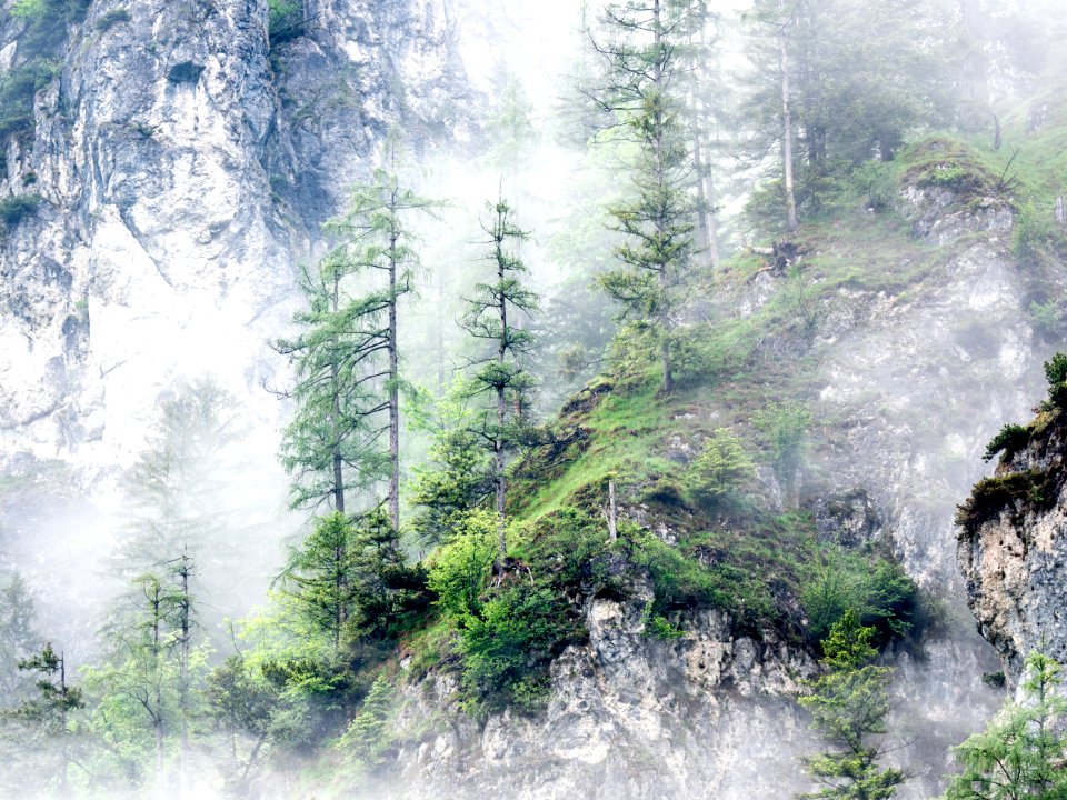 Almsee und Umgebung 6