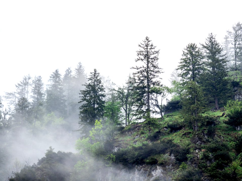 Almsee und Umgebung 7