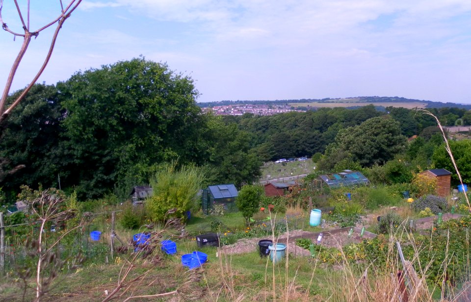 Allotments at Tenantry Down Road, Race Hill, Brighton (August 2013) (3)