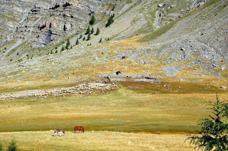 Alpage de la Moutière