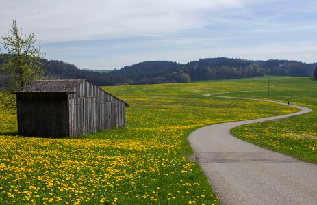 Away meadow spring meadow photo