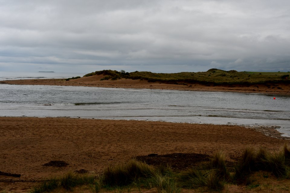 Alnmouth (2021-05-25) 16
