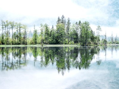 Almsee und Umgebung 15