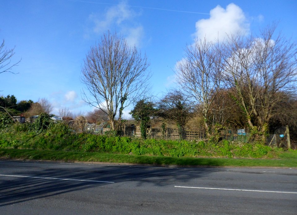 Allotments at Vale Avenue, Patcham (February 2014)