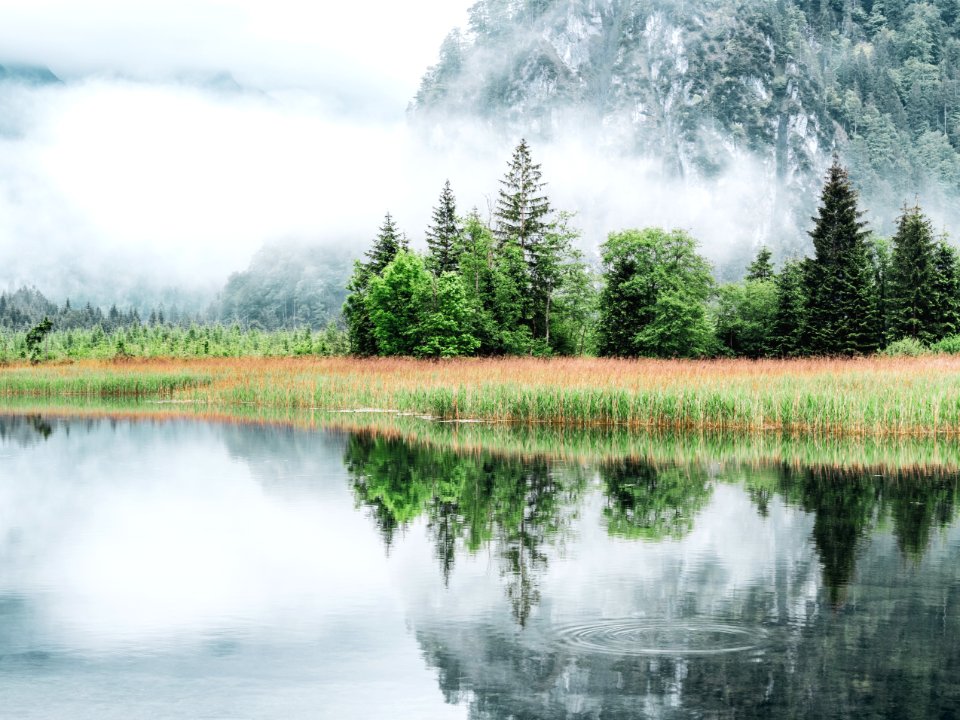 Almsee und Umgebung 8