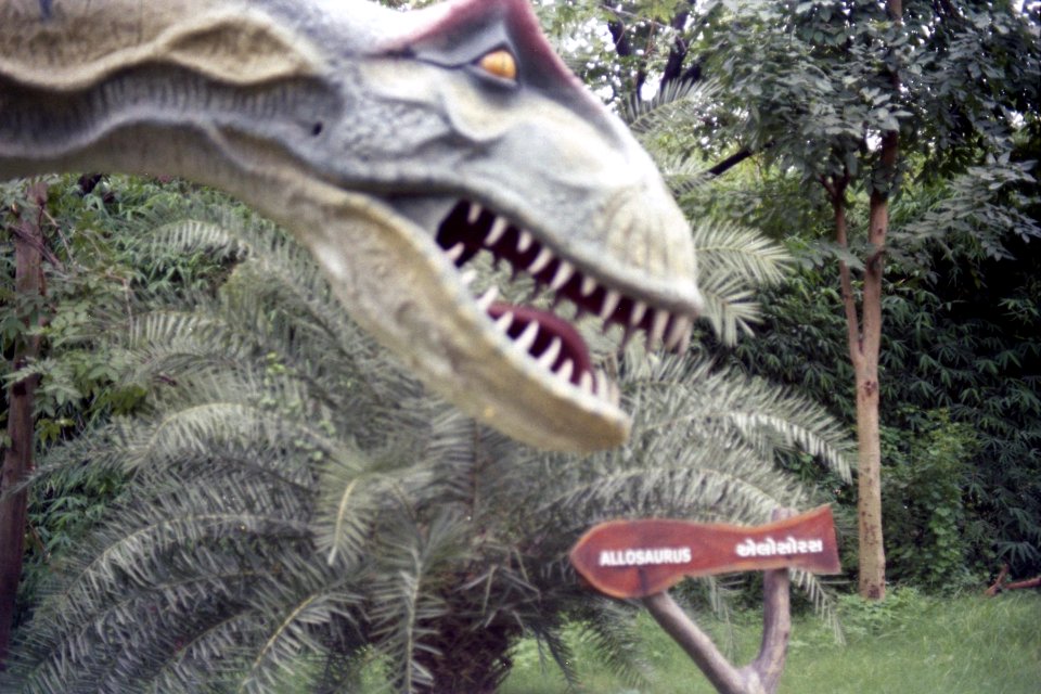 Allosaurus at Indroda