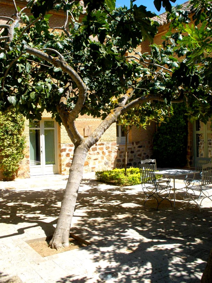 Almagro - Parador (antiguo Convento de Santa Catalina) 27