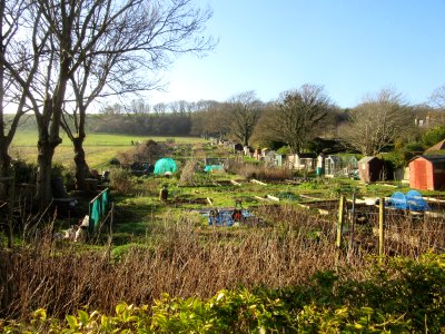 Allotments at Greenways, Ovingdean (December 2016)