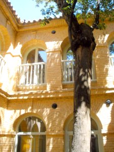 Almagro - Parador (antiguo Convento de Santa Catalina) 16
