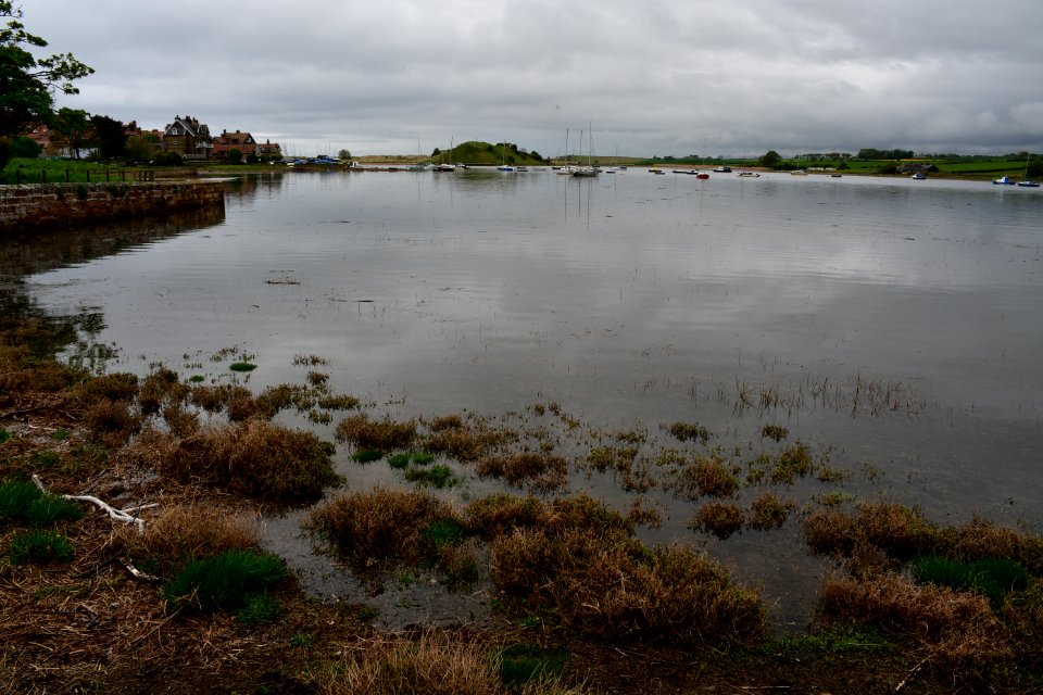 Alnmouth (2021-05-25) 08