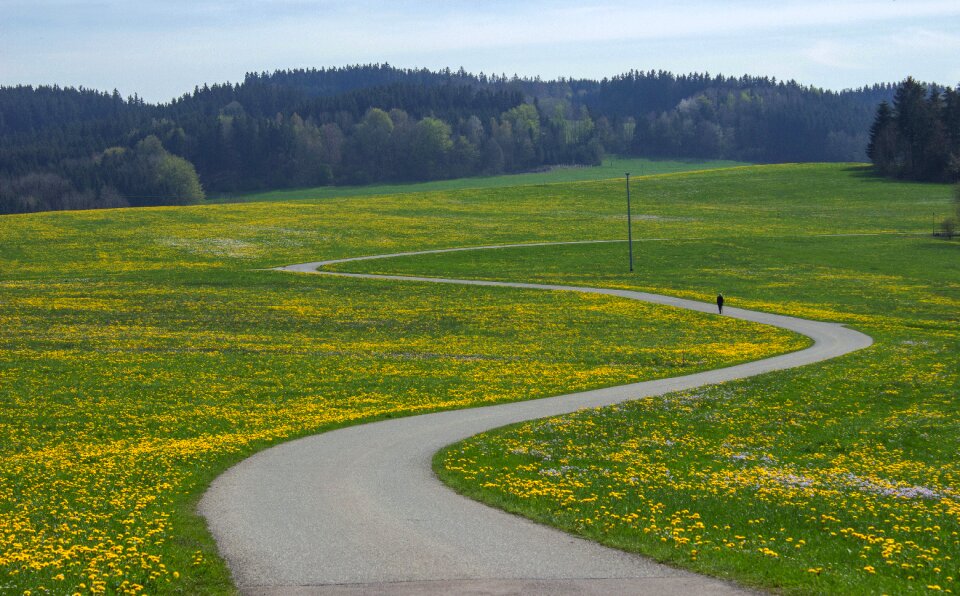 Away meadow spring meadow