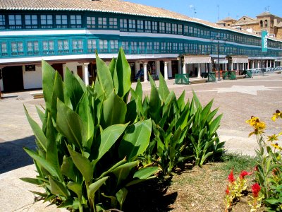 Almagro - Plaza Mayor 04