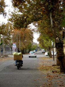 Alleys in autumn - Nishapur 14