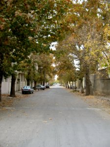 Alleys in autumn - Nishapur 03