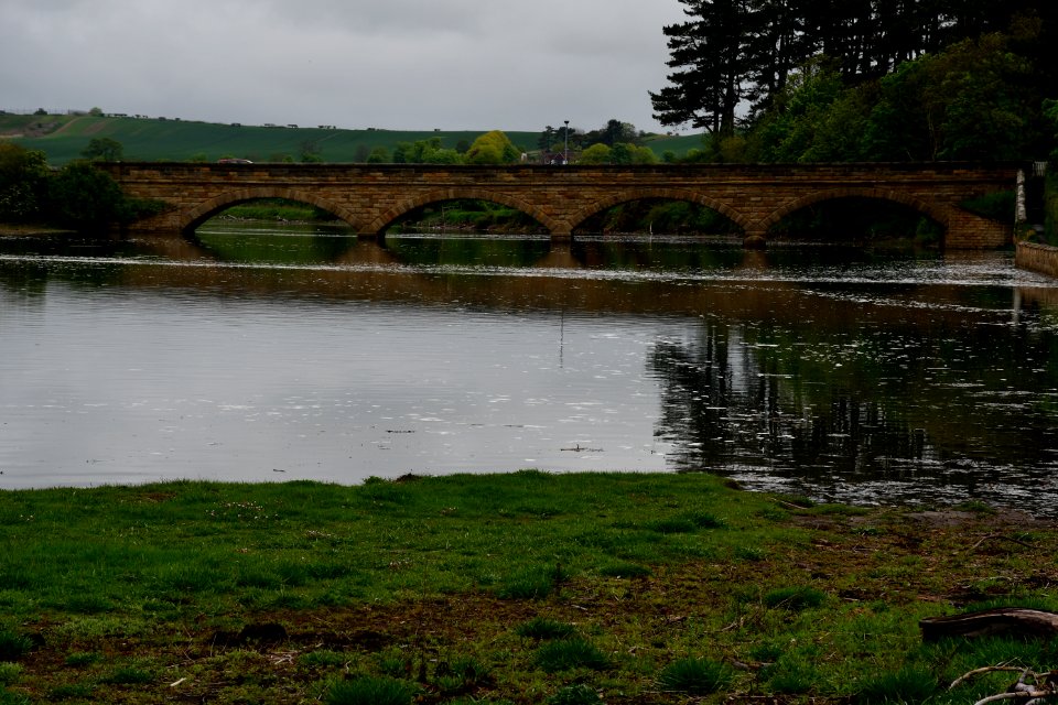 Alnmouth (2021-05-25) 06