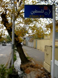 Alleys in autumn - Nishapur 07