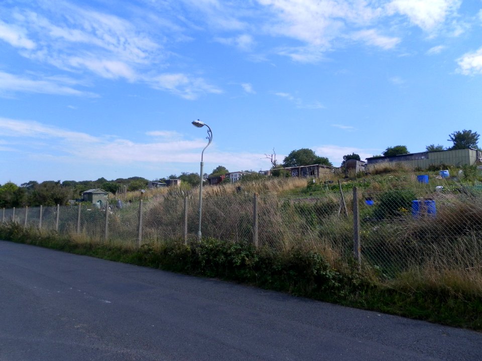 Allotments at Tenantry Down Road, Race Hill, Brighton (August 2013) (1)